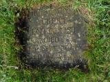 image of grave number 496862